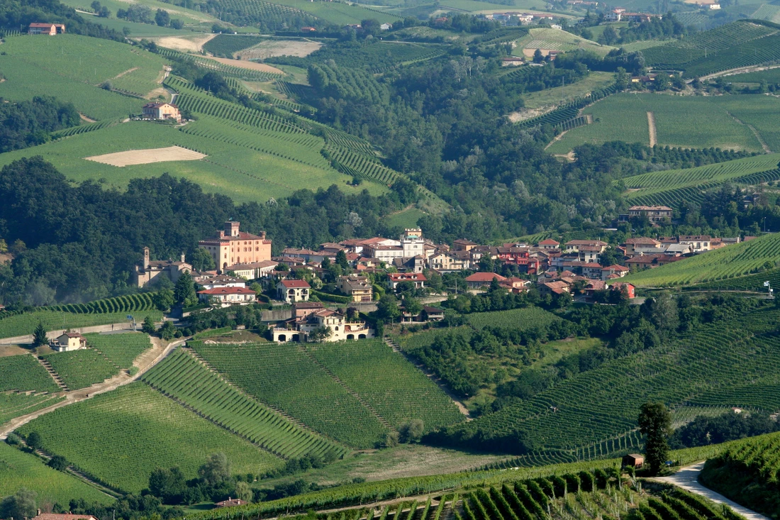 Barolo