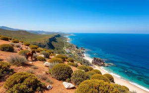 Parque Nacional Asinara