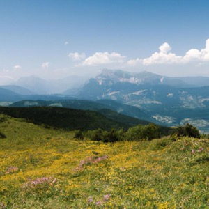 Monte Bondone: the complete guide to discovering this destination in Trentino