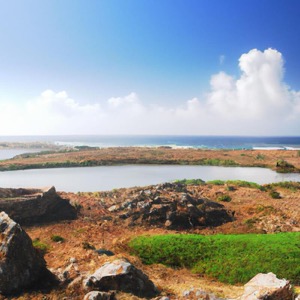 Asinara National Park