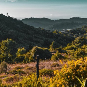 Aspromonte National Park