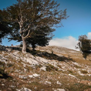 Pollino National Park