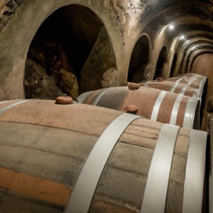 The secrets of Chianti: discover the most fascinating cellars in Tuscany