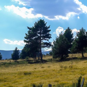 Sila National Park