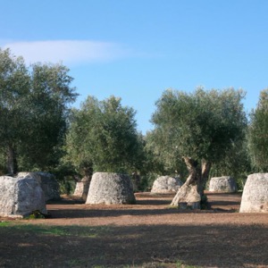 The 10 best farms in Puglia not to be missed during your trip